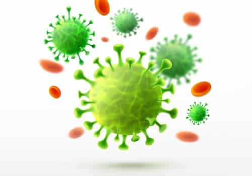 Vector of viruses on white background. bacteria germs microorganism virus cell , human health microbiology science and virus outbreaking concept. Vector illustration eps 10